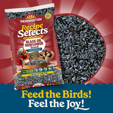 Pennington-Select-Black-Oil-Sunf4 - Brands For Less USA
