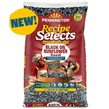Pennington-Select-Black-Oil-Sunf - Brands For Less USA