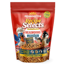 Pennington-Select-Mealworms-Blue1 - Brands For Less USA