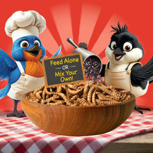 Pennington-Select-Mealworms-Blue3 - Brands For Less USA