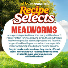 Pennington-Select-Mealworms-Blue4 - Brands For Less USA