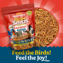 Pennington-Select-Mealworms-Blue5 - Brands For Less USA