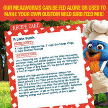 Pennington-Select-Mealworms-Blue9 - Brands For Less USA