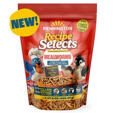 Pennington-Select-Mealworms-Blue - Brands For Less USA