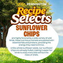 Pennington-Select-Sunflower-Chip3 - Brands For Less USA