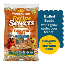 Pennington-Select-Sunflower-Chip6 - Brands For Less USA