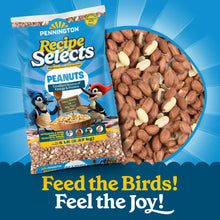Pennington-Shelled-Peanuts-Wildl1 - Brands For Less USA