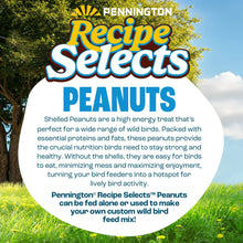 Pennington-Shelled-Peanuts-Wildl3 - Brands For Less USA