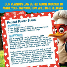 Pennington-Shelled-Peanuts-Wildl4 - Brands For Less USA