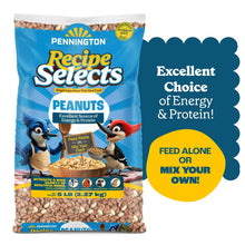 Pennington-Shelled-Peanuts-Wildl6 - Brands For Less USA