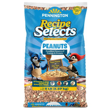 Pennington-Shelled-Peanuts-Wildl8 - Brands For Less USA