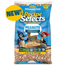 Pennington-Shelled-Peanuts-Wildl - Brands For Less USA