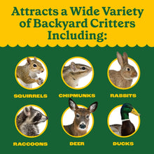 Pennington-Squirrel-and-Wildlife3 - Brands For Less USA