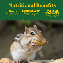 Pennington-Squirrel-and-Wildlife5 - Brands For Less USA