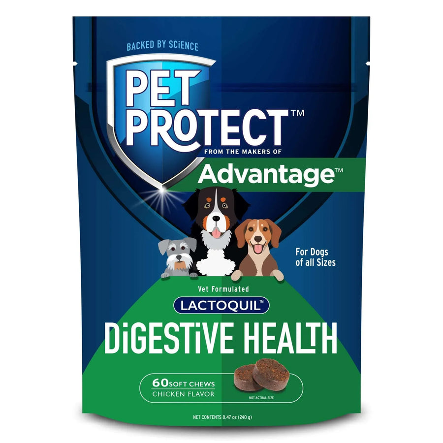 Snapshot of Digestive Health Dog Food For Gut Selective Antibiotic Treatment