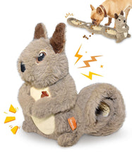 Petbobi-Interactive-Plush-Squirrel-Dog-Toy-with-Treat-Dispenser-Grey-d7dcc281-4b7c-4d82-88ea-ba4_6665_1 - Brands For Less USA