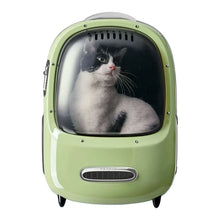 PetkitBreezy2SmartCatCarrierwithBuilt-inVentilation-UVProtection7-_4 - Brands For Less USA