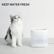 PetkitEversweetSoloSESmartPetWaterFountain1 - Brands For Less USA