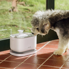Petlibro Cordless Pet Water Fountain