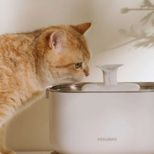Petlibro Cordless Pet Water Fountain