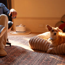 Petlibro Cordless Pet Water Fountain