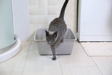 Petmate-Durable-Open-Top-Entry-Easy-to-Clean-Cat-Litter-Pan-Plastic-Cat-Litter-Box-Jumbo-Gray_2479d537-cdea-4a1b-9f47-5a67054afa7b.9c864a3c4a5ea8b62a0a0982d3cd6272 - Brands For Less USA