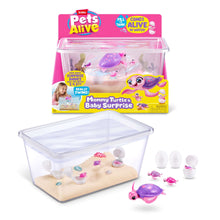 Pets-Alive-Mama-and-Baby-Turtle-Electronic-Plush-Girls-Toy-by-ZURU-a74fd15b-6ea1-4b41-a8da-c728f_3211_1 - Brands For Less USA