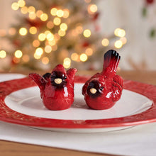 Poinsettia Holiday Cardinal Salt and Pepper Set