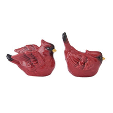 Poinsettia Holiday Cardinal Salt and Pepper Set