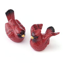 Poinsettia Holiday Cardinal Salt and Pepper Set