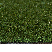 PreGra 48 oz Artificial Pet Turf