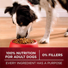 Purina-ONE-SmartBlend-True-Instinct-Real-Turkey-Venison-Adult-Dry-Dog-Food-40-lbs-1-_9 - Brands For Less USA