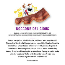 PurinaBeggin-StripsDogTreats-Bacon-BaconandCheeseFlavors-32oz-2pk-1-_18 - Brands For Less USA