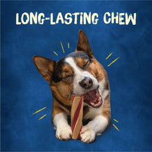 PurinaBusywithBeggin-Twist-dAdultDogChewBoneTreats-18ct-Pouch3-_10 - Brands For Less USA