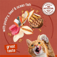 PurinaFriskiesGravyPleasersVarietyPack-AdultWetCatFood-5-5oz-60ct-6-d70e6da4-0016-4f23-b230-734c_2274_12 - Brands For Less USA
