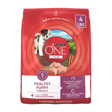 PurinaONEPlusHealthyPuppyDryDogFood_HighProteinGrowthSupportwithRealChicken_4lbBag - Brands For Less USA