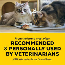 PurinaTidyCatsMulti-CatLightWeightClumpingCatLitter-19-5lbs-2-_6 - Brands For Less USA