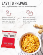 READYWISE Emergency Food Survival Supply 14 Day Bucket, 150 Servings