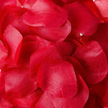 ROSE3-_3 - Brands For Less USA