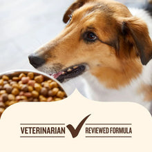 RachaelRayNutrishRealBeef_Pea_BrownRice_DryDogFood_50lbs.4 - Brands For Less USA