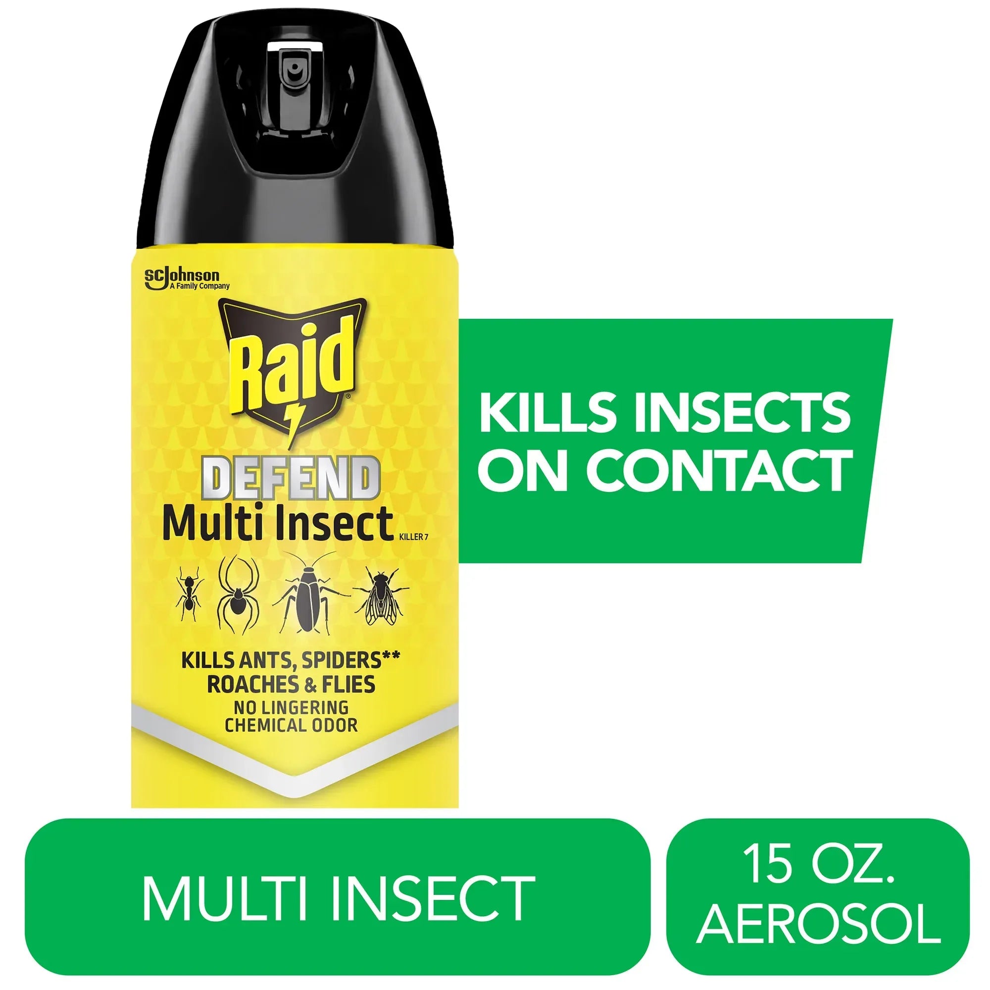 Raid Defense System Indoor and Outdoor Ants, Roaches, Spiders and Flie ...