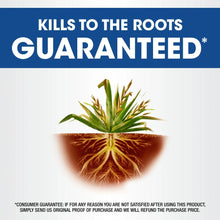 Roundup-Weed-and-Grass-Killer4-w2 - Brands For Less USA