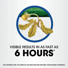 Roundup-Weed-and-Grass-Killer4-w5 - Brands For Less USA