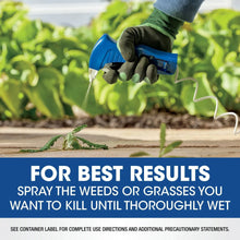 Roundup-Weed-and-Grass-Killer4-w9 - Brands For Less USA