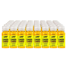 SLAPP Organic Ginger & Turmeric Daily Booster Shots 48-count