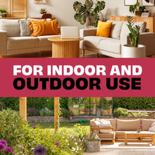 STEM Kills Indoor/Outdoor Ant, Roach & Spider Bug Spray, 12 fl oz