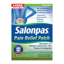 Salonpas Mild to Moderate Pain Relief Patch, Large, 9 Count - Brands For Less USA