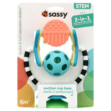 Sassy Developmental Toys, Teeth & Twirl, Sensation Station, Multi-Color, 6 Months+