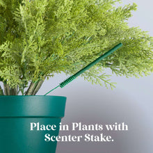 Scentsicles 3-Pack Scented Stick Ornaments - White Winter Fir, Snowberry Pine, and Icicles on Spruce