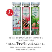 Scentsicles 3-Pack Scented Stick Ornaments - White Winter Fir, Snowberry Pine, and Icicles on Spruce